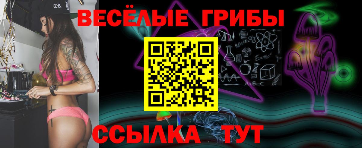 Михайловка  Галлюциногенные грибы MAGIC MUSHROOMS  Галлюциногенные грибы прущие грибы  Вход с VPN 